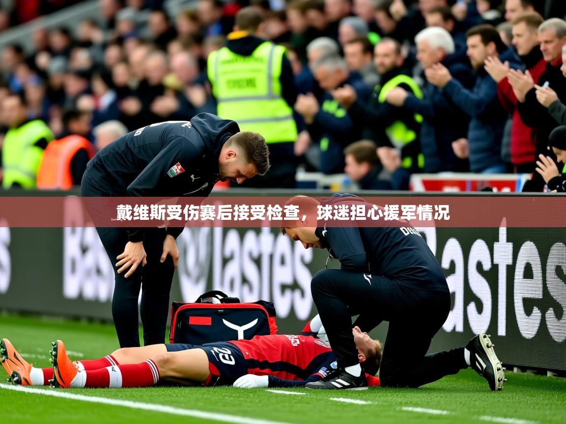 2025华体会登录戴维斯受伤赛后接受检查,球迷担心援军情况  第2张