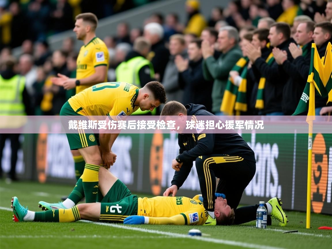 2025华体会登录戴维斯受伤赛后接受检查,球迷担心援军情况  第4张