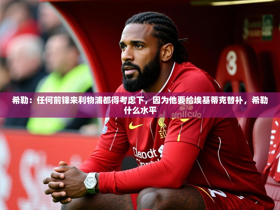 2025华会体育app下载希勒:任何前锋来利物浦都得考虑下,因为他要给埃基蒂克替补,希勒什么水平 第3张