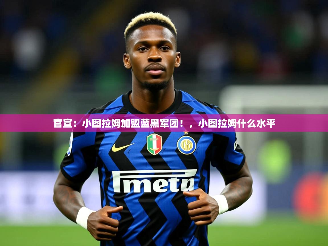 2025华体会登录手机版最新官宣:小图拉姆加盟蓝黑军团!,小图拉姆什么水平 第3张