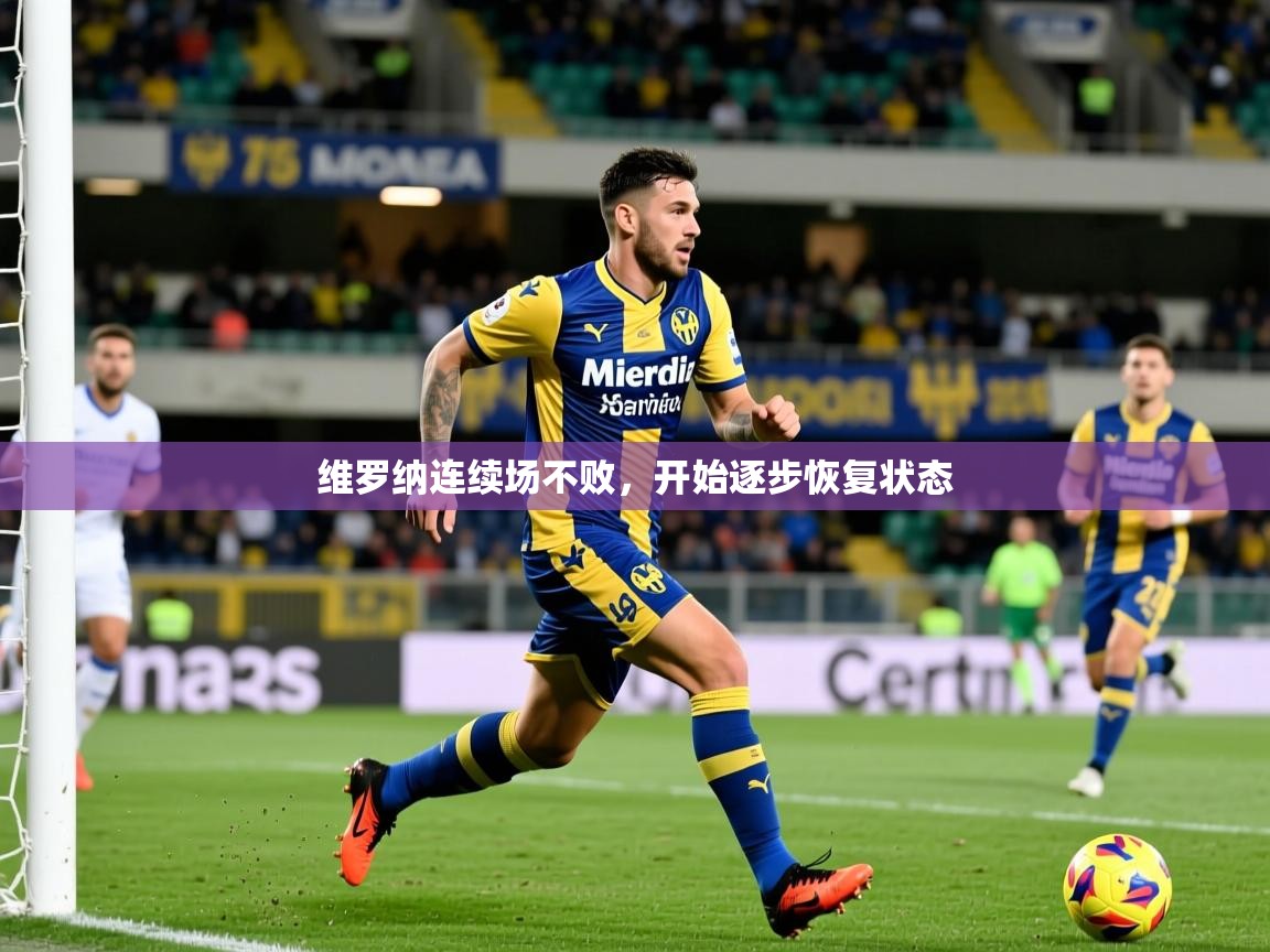 2026华体体育app下载维罗纳连续场不败，开始逐步恢复状态