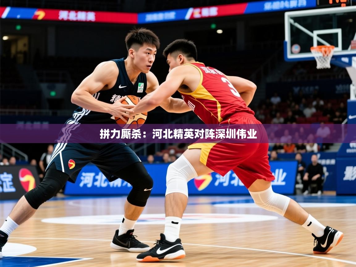2026华体会登录拼力厮杀:河北精英对阵深圳伟业 第1张