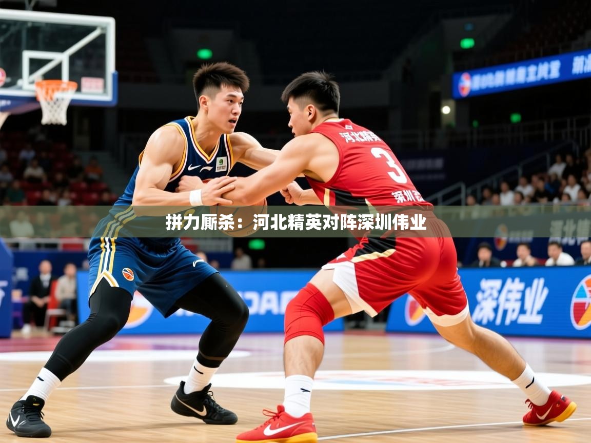2026华体会登录拼力厮杀:河北精英对阵深圳伟业 第2张