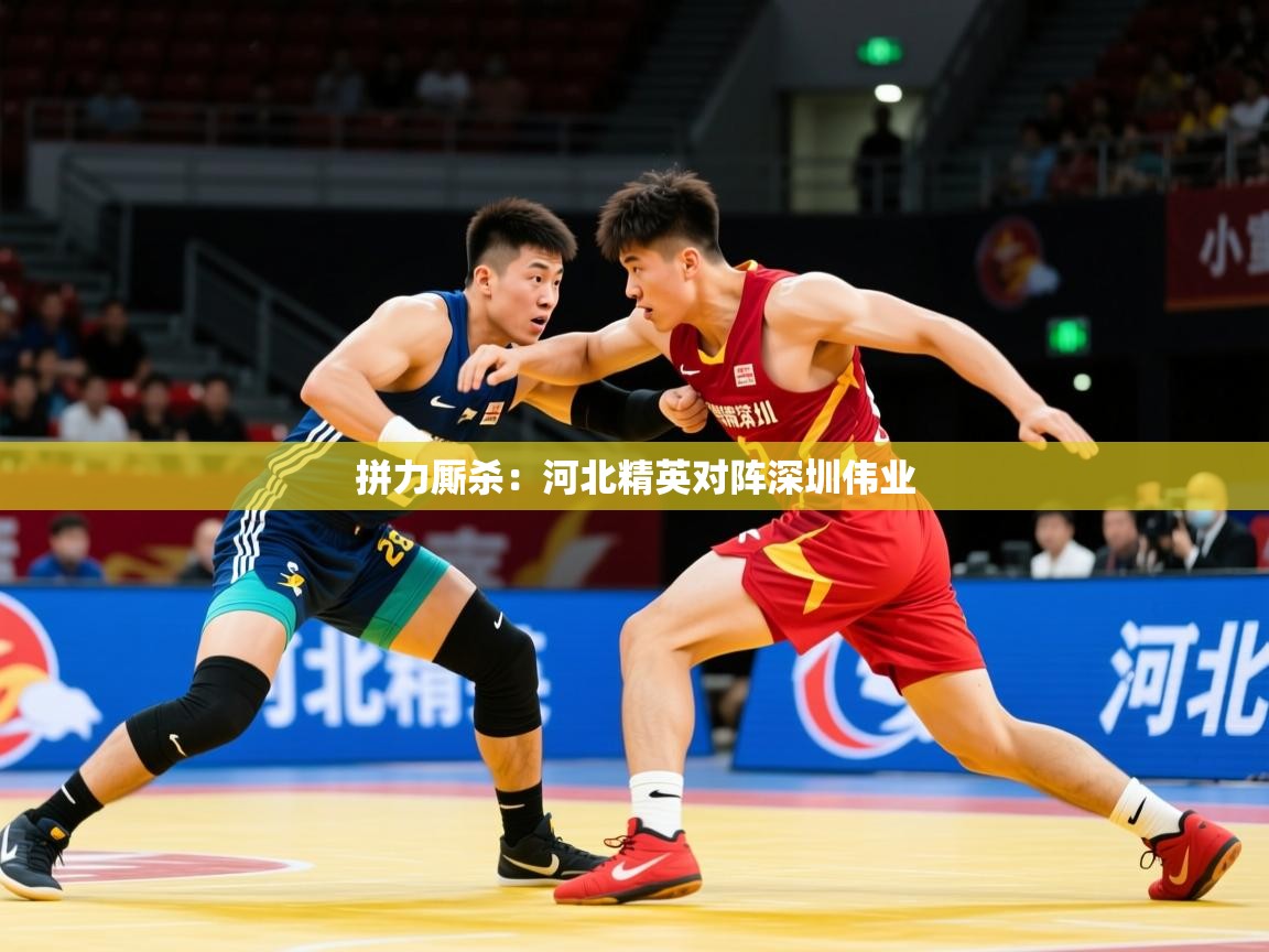 2026华体会登录拼力厮杀:河北精英对阵深圳伟业 第3张
